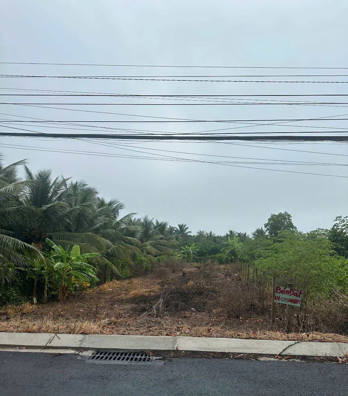 z6825170519047_d2ab30dc72c63251df1657ce79cf7996