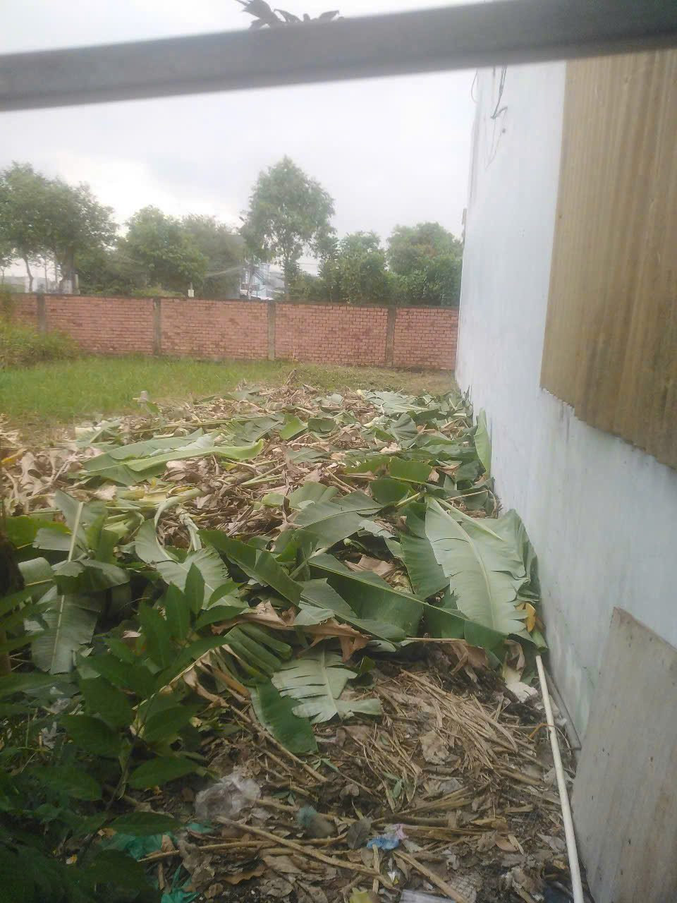 z6826247082839_aef932da34a91de02a4959ae56b2c4b1