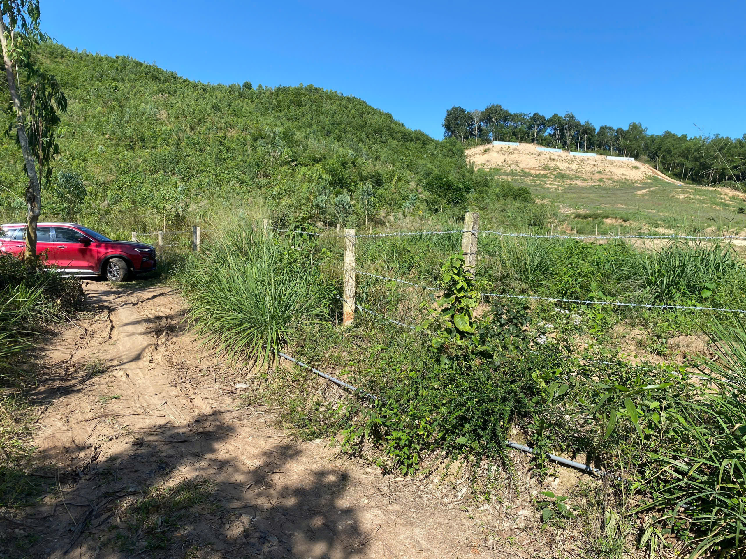 z6827801042057_5a43f14bfc92aa36f50ba3c24b3e65a0