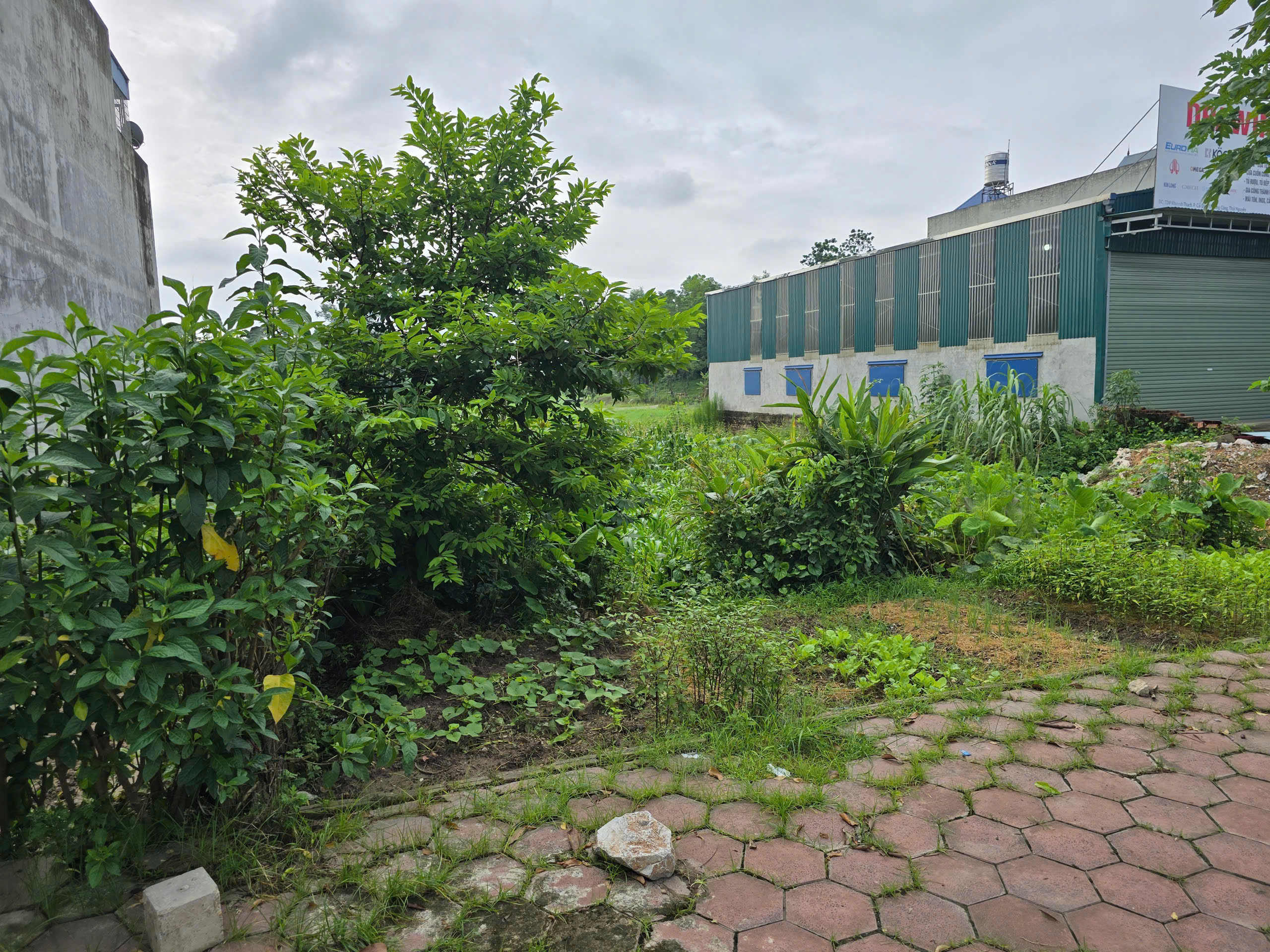 z6830619802720_14baf9a5d66face05542844c3bbe8545