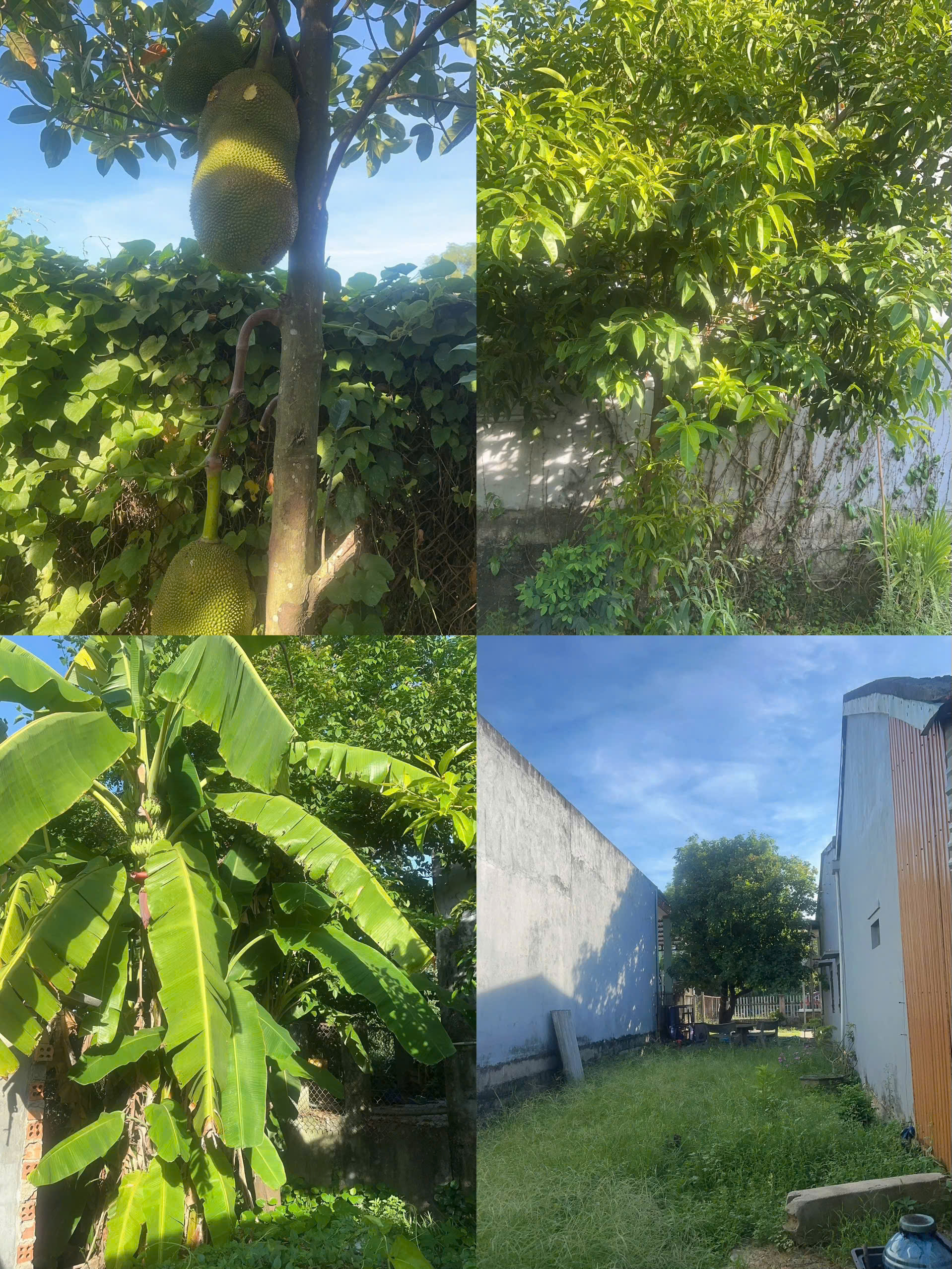 z6830968206423_a3602eac89da7c30dc75c5c9d3a58d0c