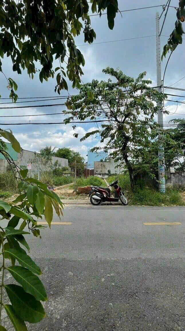 z6831345842522_bb0aceb702d50f9f8aa2dfc5ab11a52f