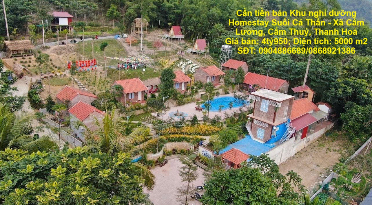 z6832194235830_b5d7649f1192387ce0bc96e147e2fff