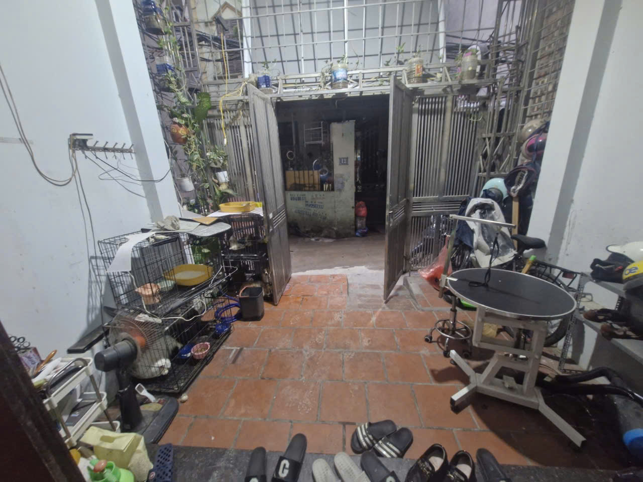 z6835316119827_843116553314ae03b3727d0e7985d280