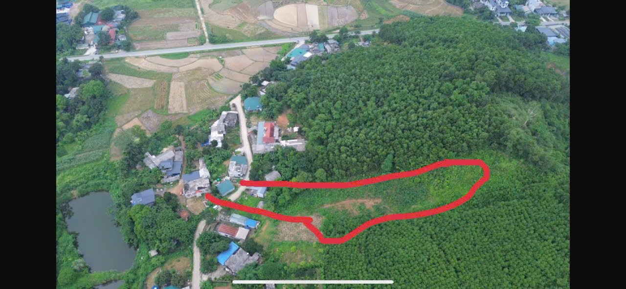 z6836398645381_6fdd374583b0ea5d6e81792abd138826