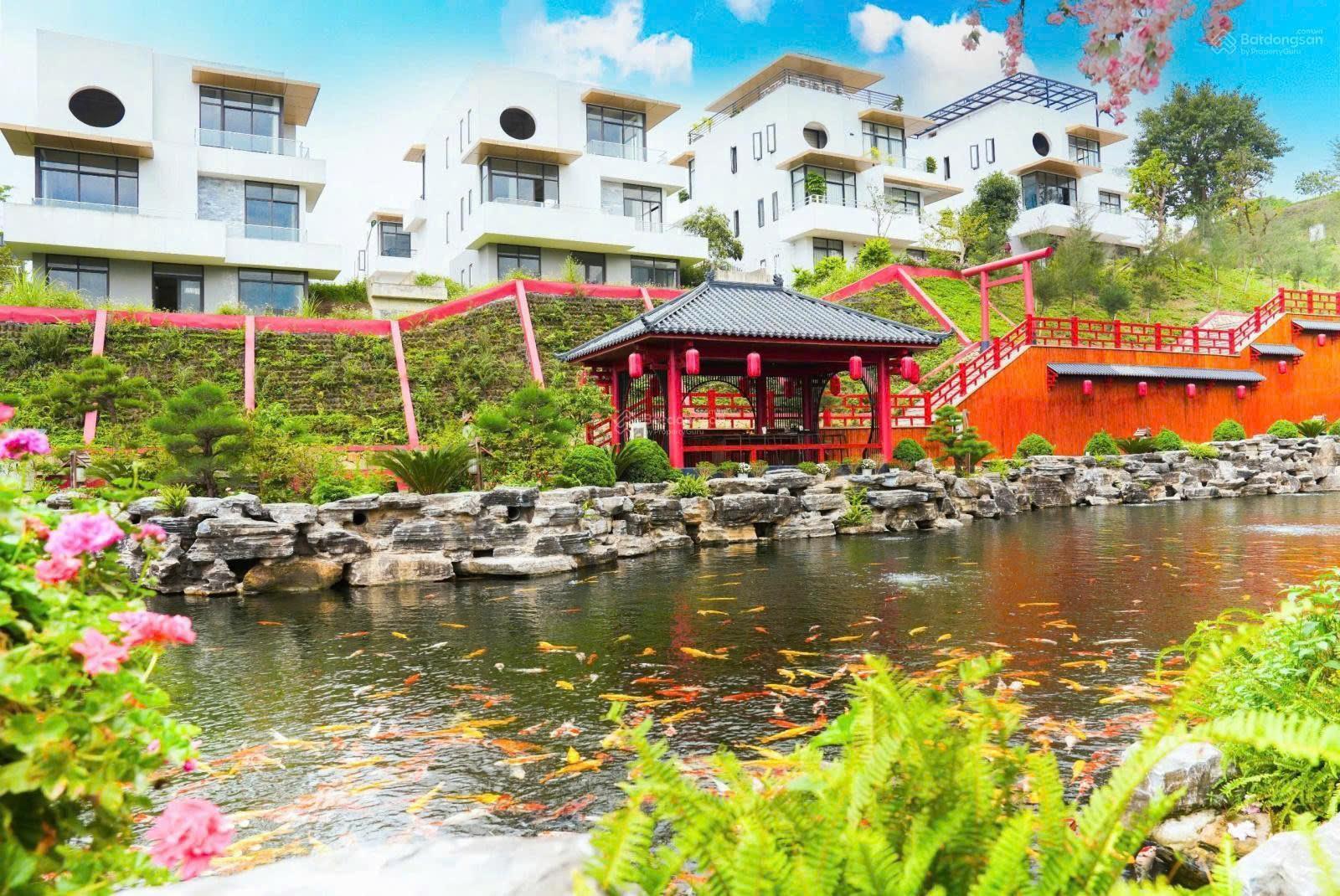 z6836466106668_635b7d9c169f210a9a1da02b77129849