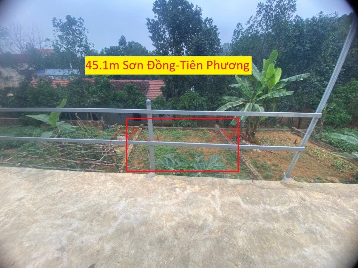 z6837895901889_5be11ed30a72ba51541caa745a8d25b4