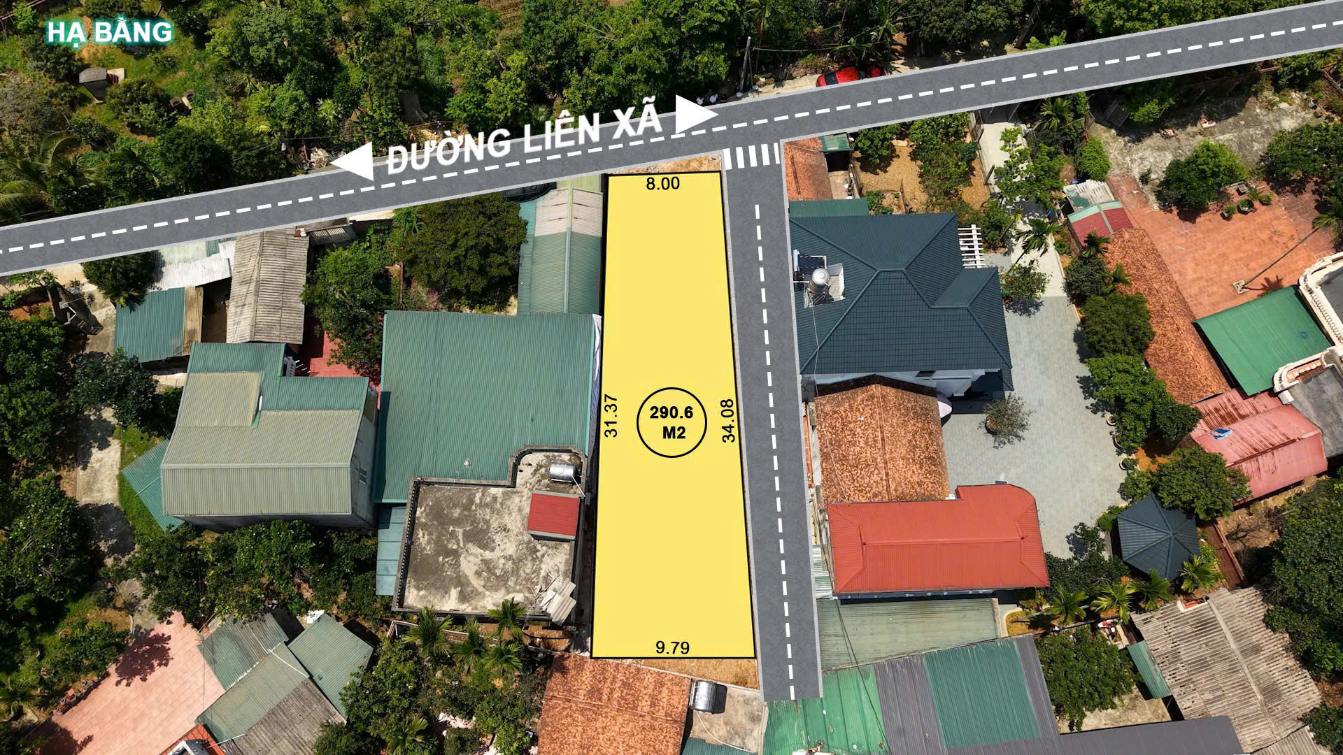 z6838009266039_65ecc05609eb7a1ad52fc7022d99ead0