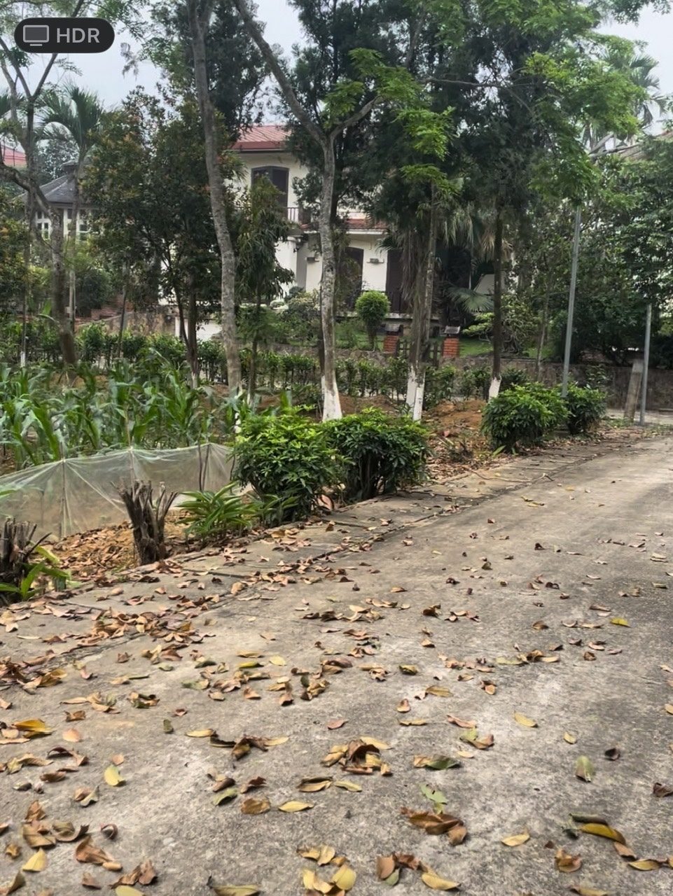 z6838604799621_d01625d123e6ed9291e9b52583336ae9