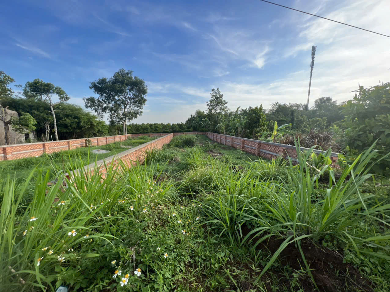 z6839530900071_0d829a5eca9483fb3936ff7f54a42c1d