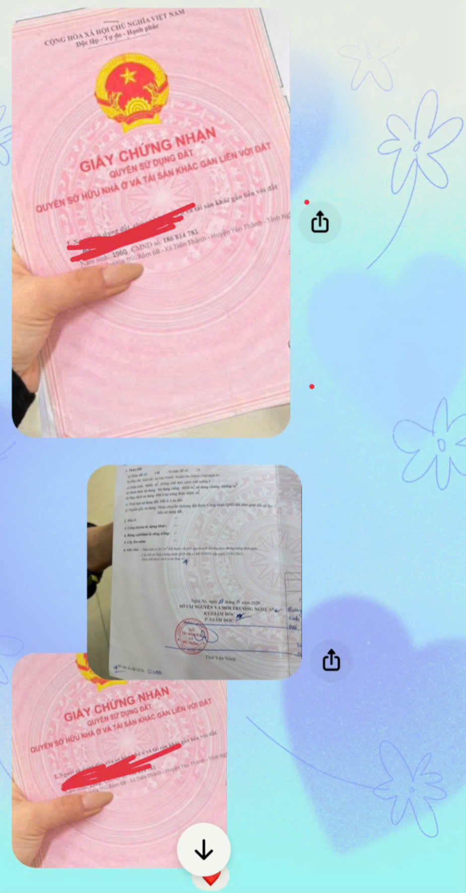 z6839910499965_50661c8ae8548296bd4e87d89c3670d9