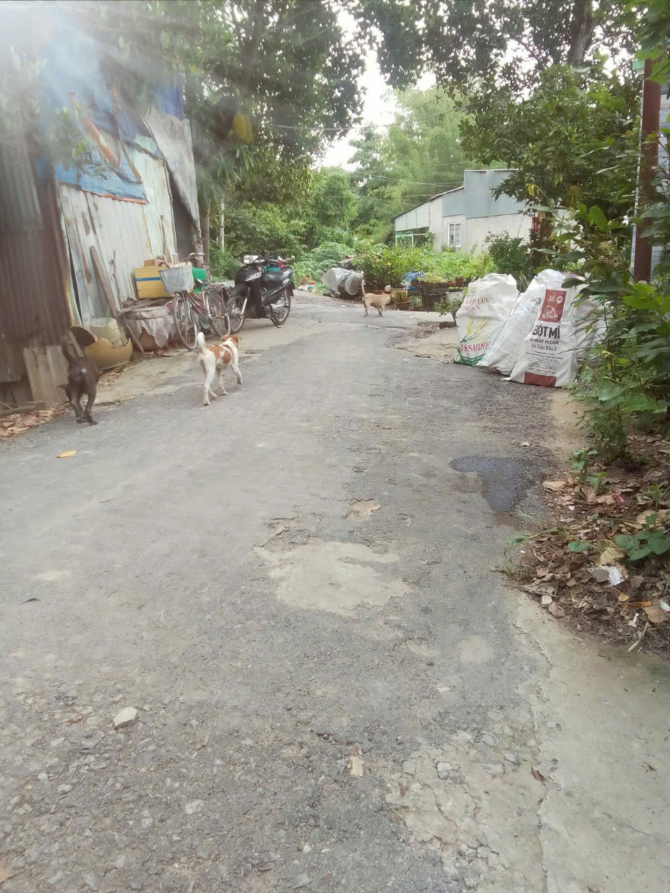 z6840211761483_589ca3878b5e2f4f455b6de9310c3f32