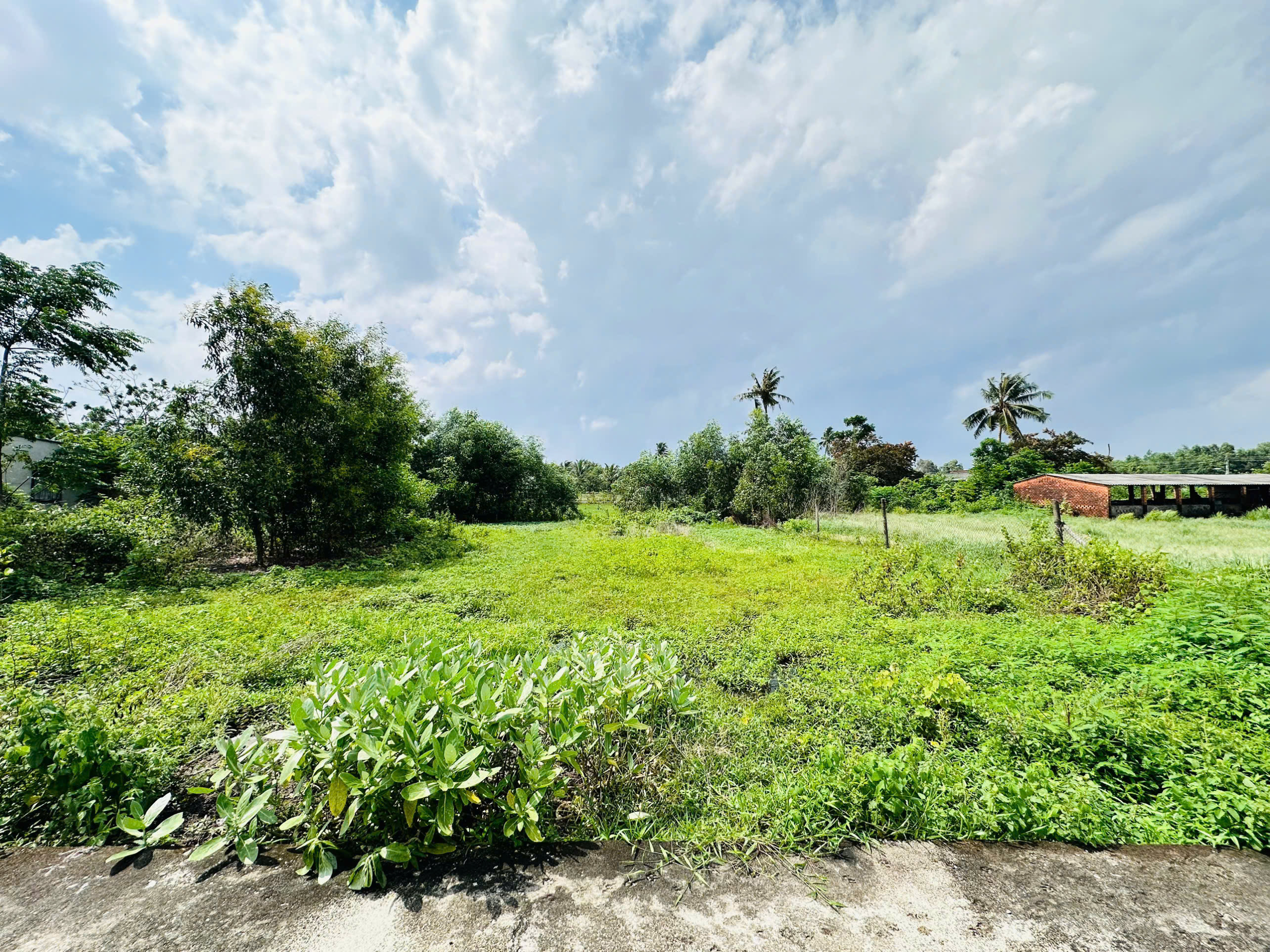 z6842304409876_c235de3d66a622a55eb1c143b06ae4f2