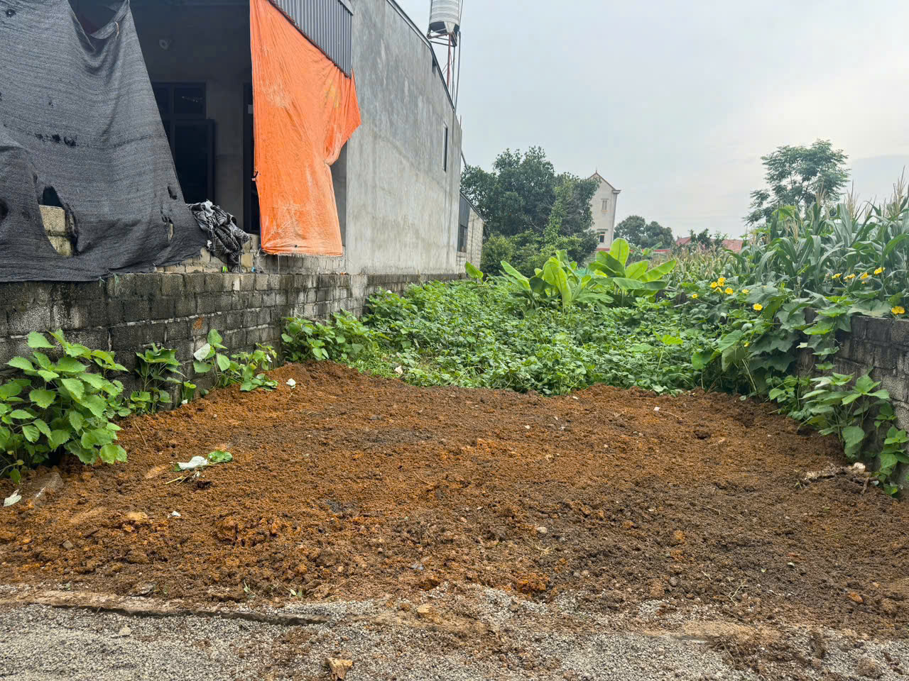 z6842518929790_8b03df63d44aa5b1062ab5633951d78a