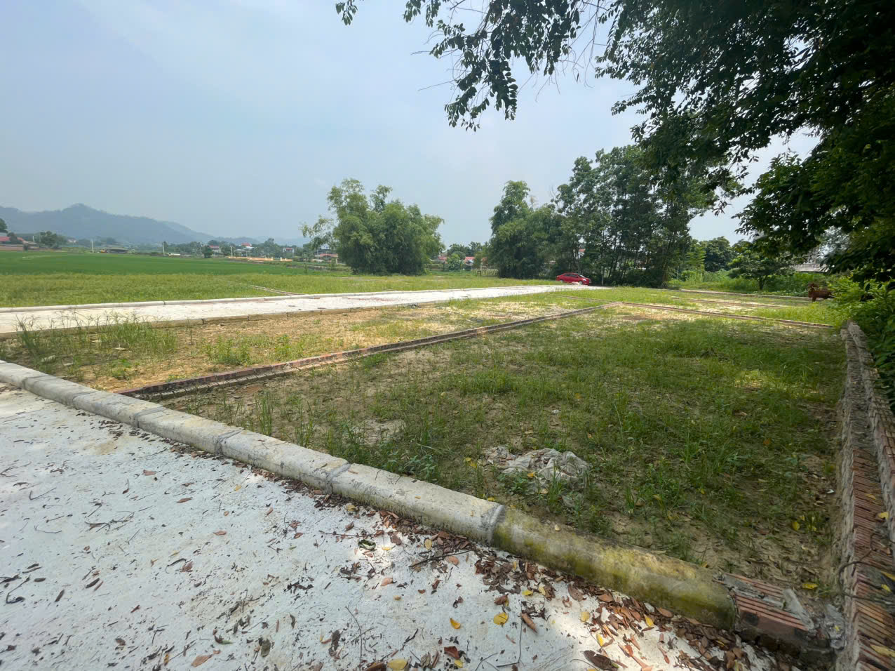 z6842530425098_48c8290cf7a73e6003cfb3cf84c39807