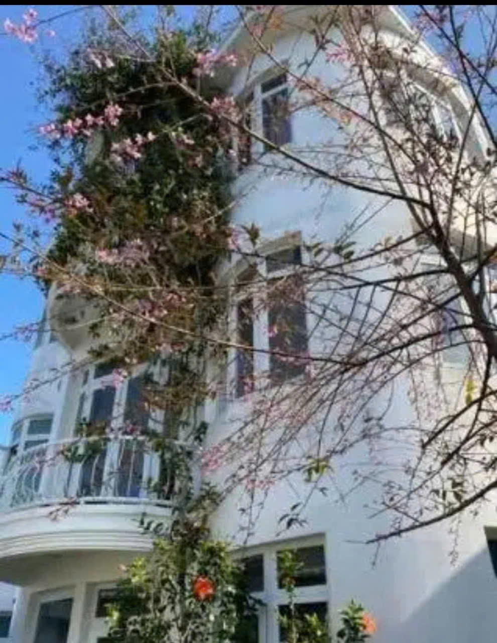 z6843409257234_5bbf1683874ac3c5b57f9cd5f4afc115