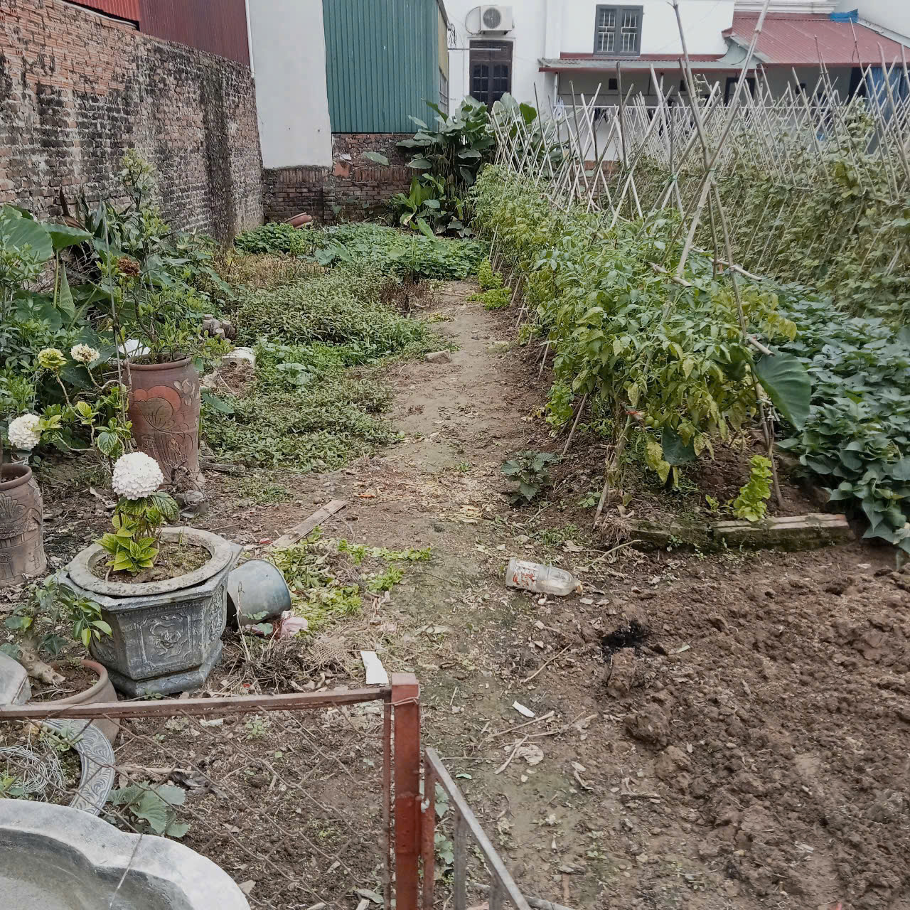 z6844902122616_8432378d8de654e94aa8ac93231da366