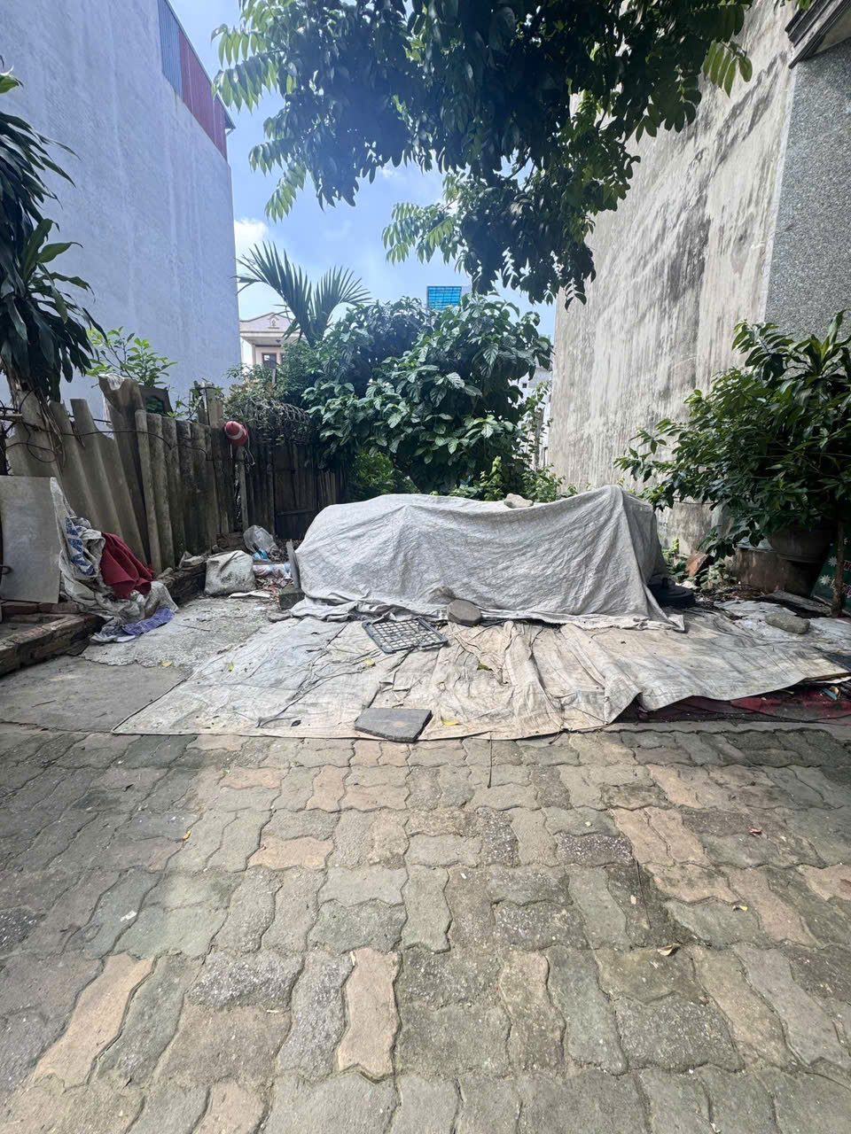 z6847877687276_4e4b896b1473ff05b94a79ee81406637