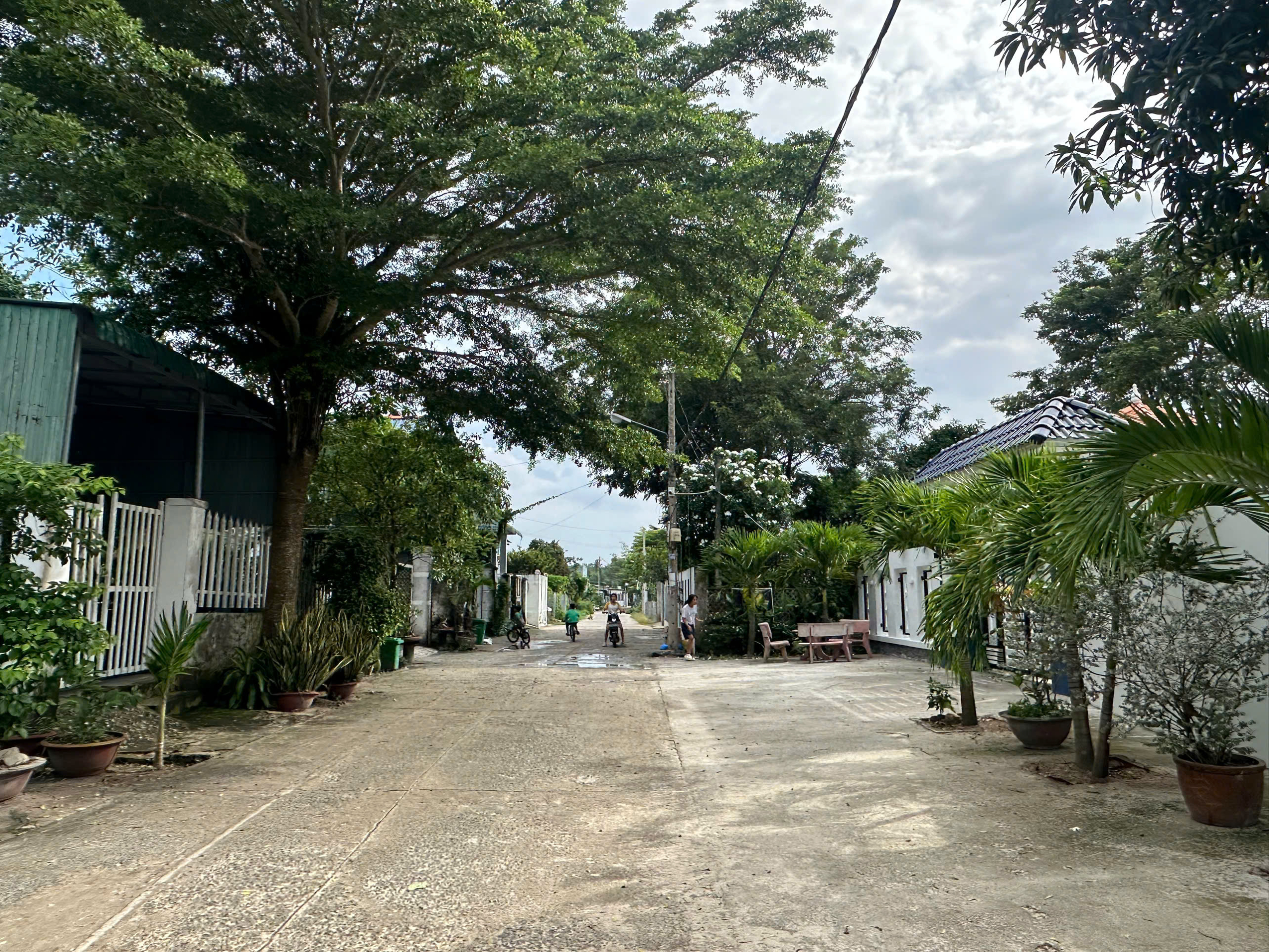 z6849370055637_ec78e0c3ee445d691f0b9c3324de740b