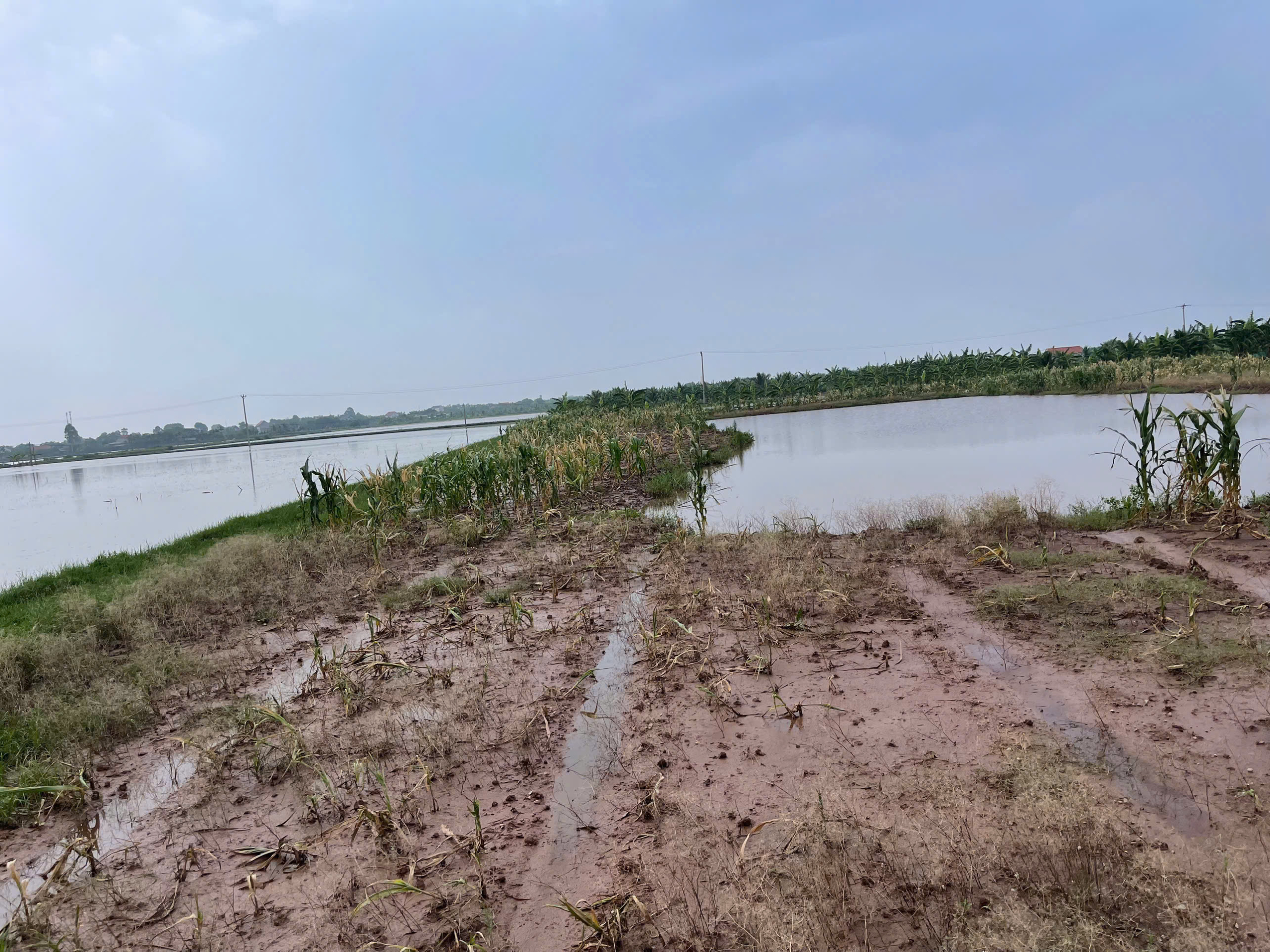 z6849407566333_9374dacc34abab7f2dfff38c20b85510