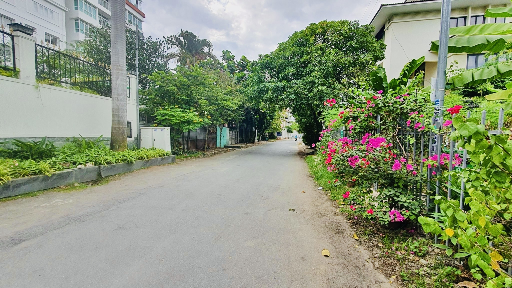 z6849658973656_249679ab7316192456410cef4f0da8ea