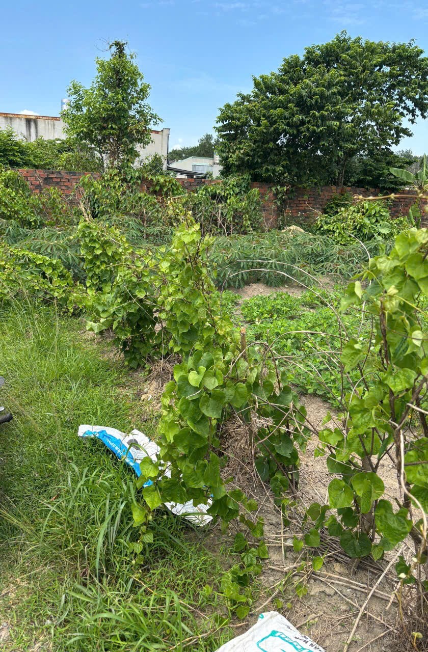 z6850554902339_6d592fb213cd74c1ffff5eeb1edc4c65