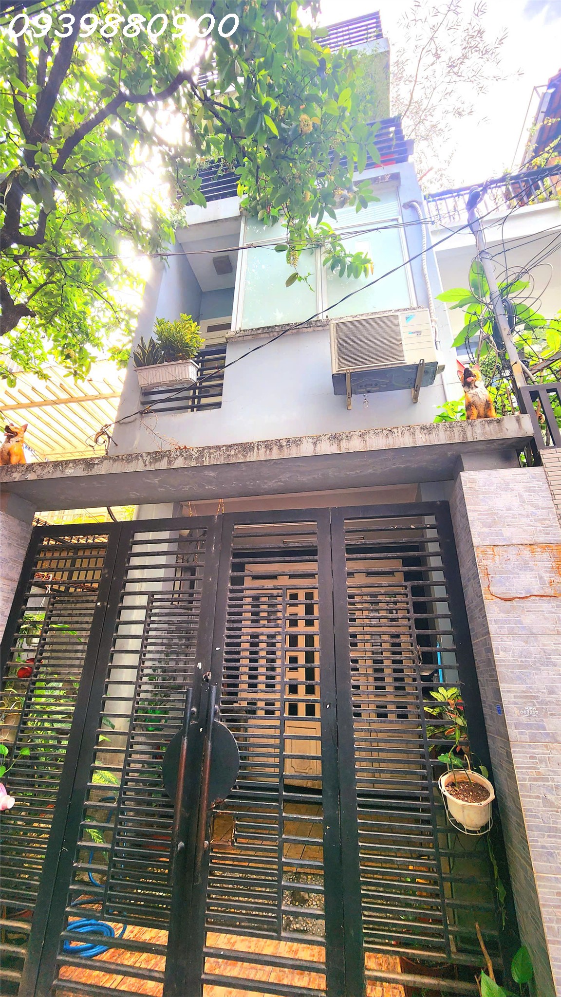 z6850906826980_0ee0f347fd01554b72caac8ce24fa805