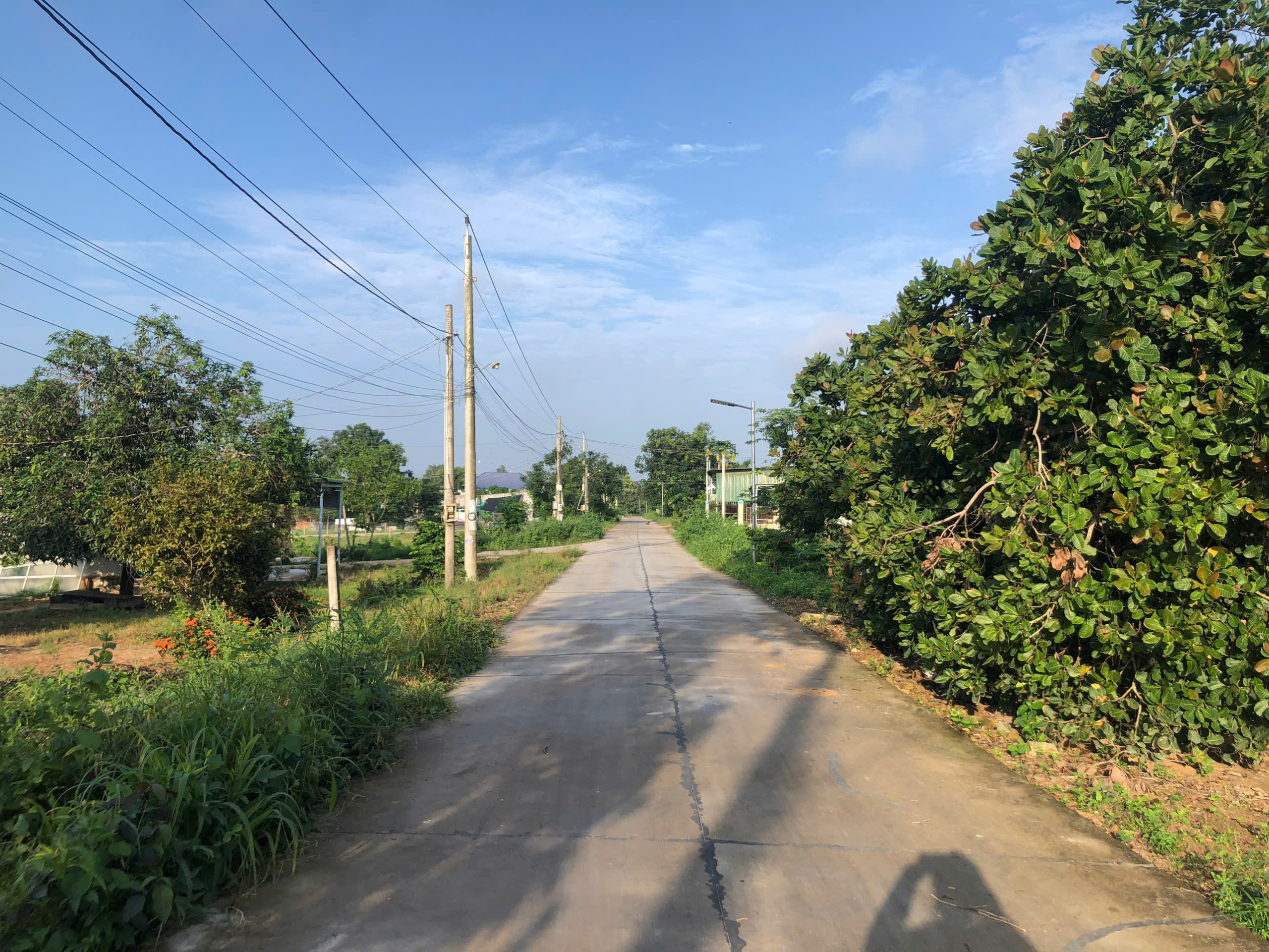 z6851079855462_4e1a7a1e6ef2c50a6101ce8e78d893ae