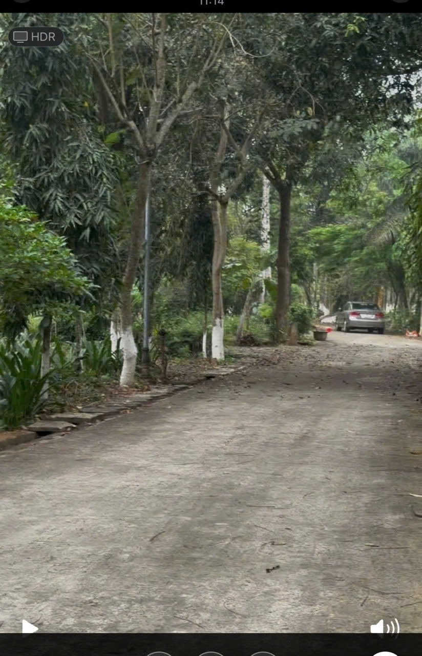 z6852265672855_7c52e022c0a15c6b833a8c45e5200869