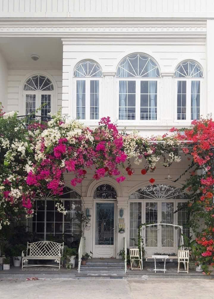 z6852312951864_bd3c5afed1418a00ce6c4b81fd2af92a