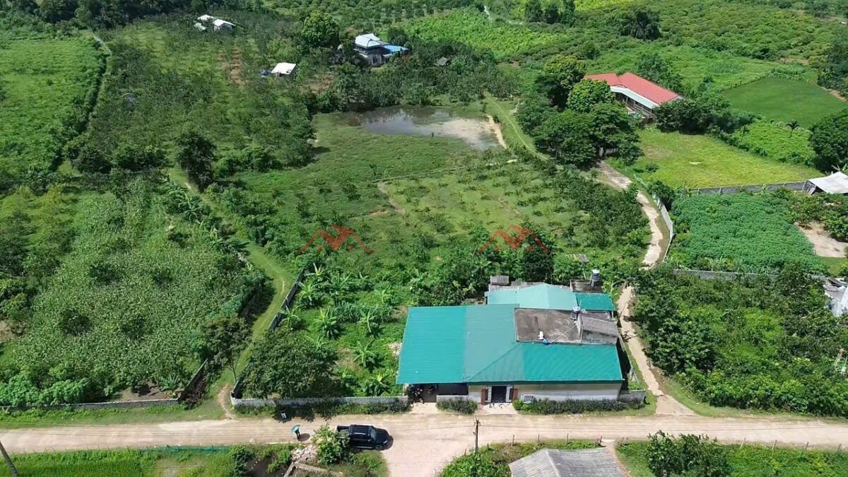 z6853396486888_99f213a210b006ac7de4ee40b132b765