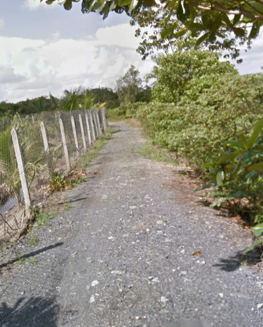 z6853968306297_88862a12dd7985e48d36f02ce8fcb27d