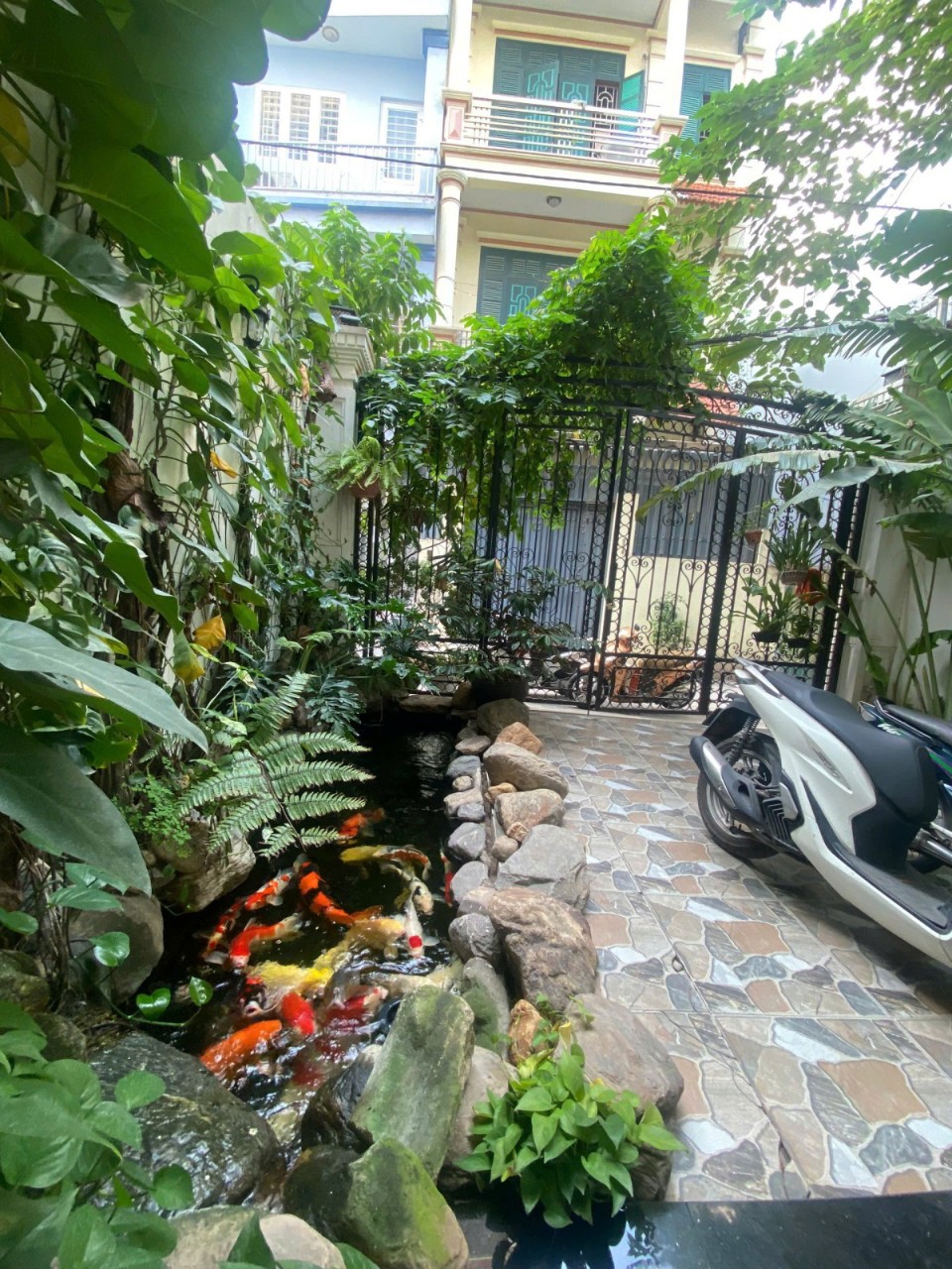 z6854380016529_f01b99e26cc9d564649af63341224882