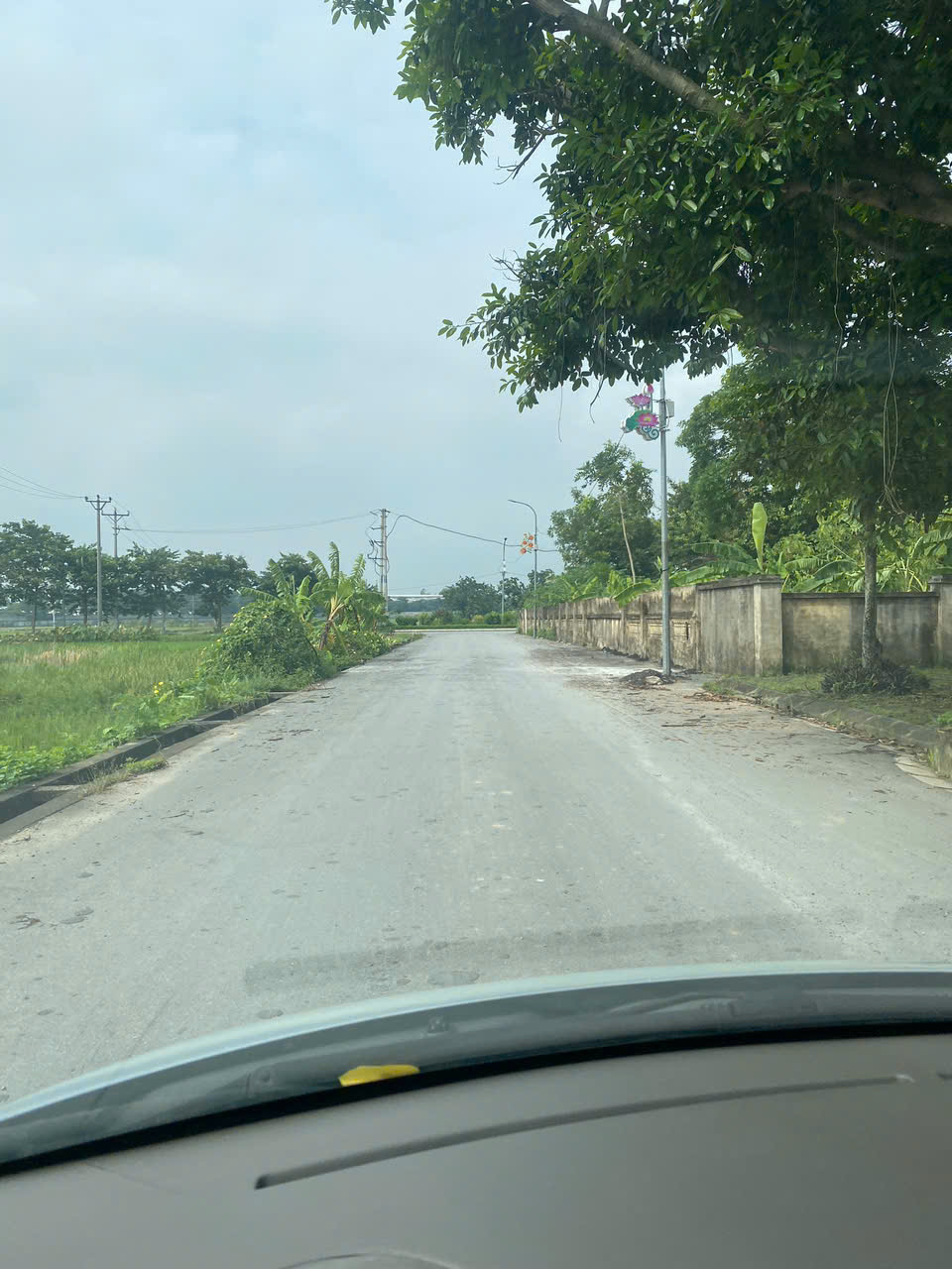 z6856066033979_0c73785187d7b38264e597abdf2662ef