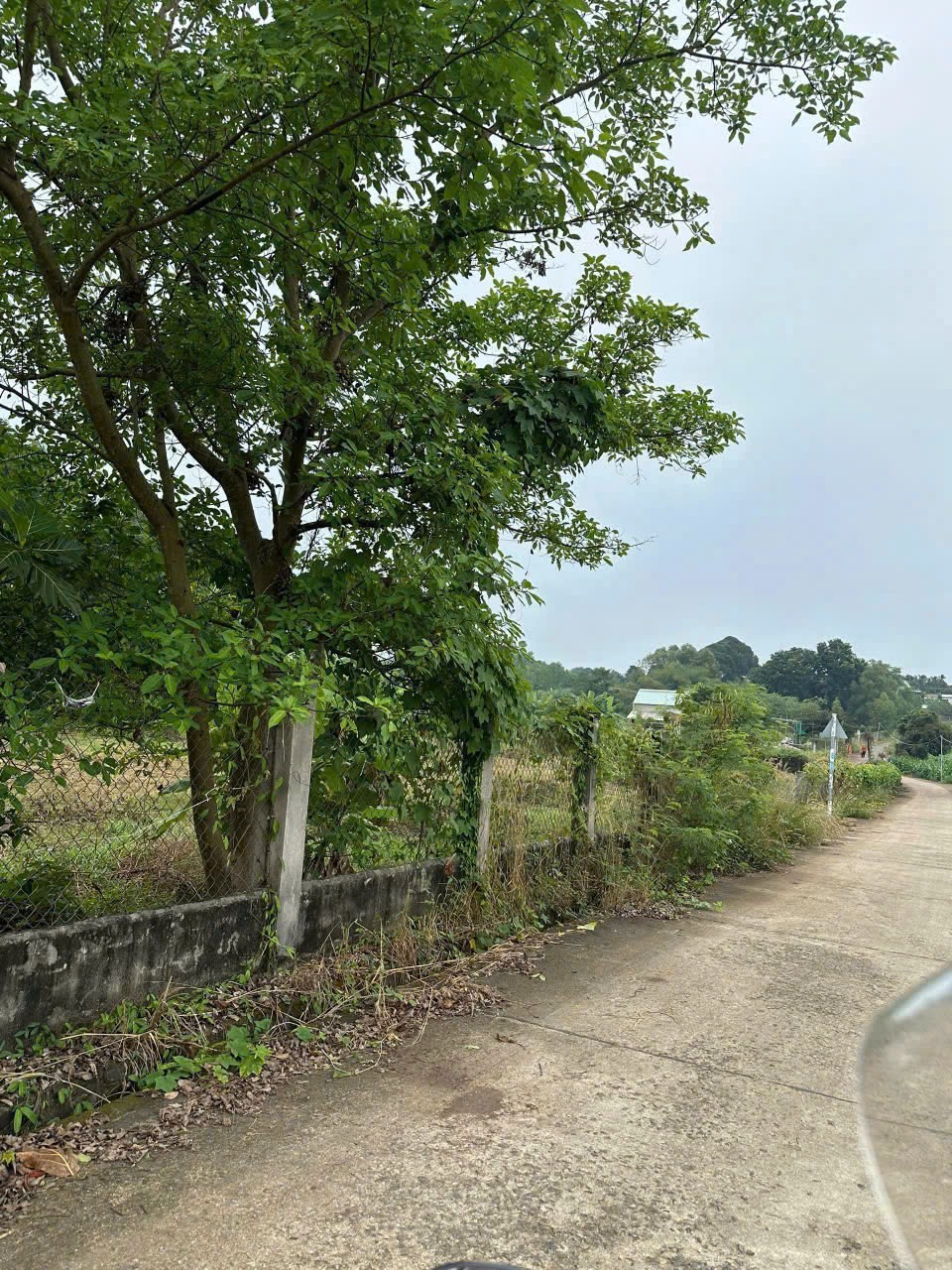 z6858529043645_dd7f03b41452bbd24d5b7d5f2e6920fb