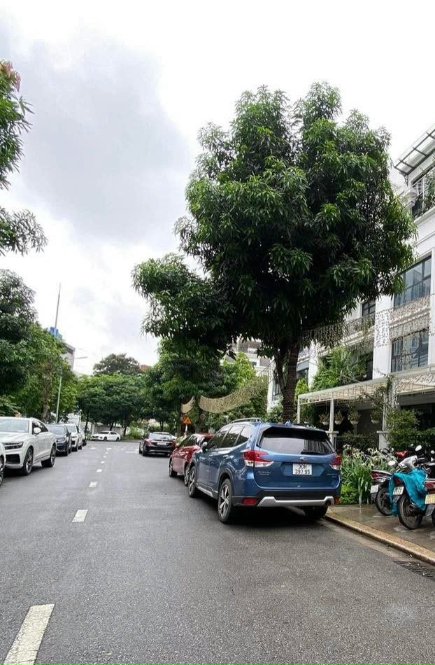 01b41d4971fcf9a2a0ed