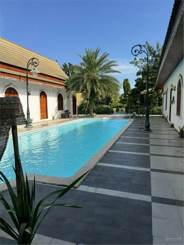 20250806061753-8206_wm