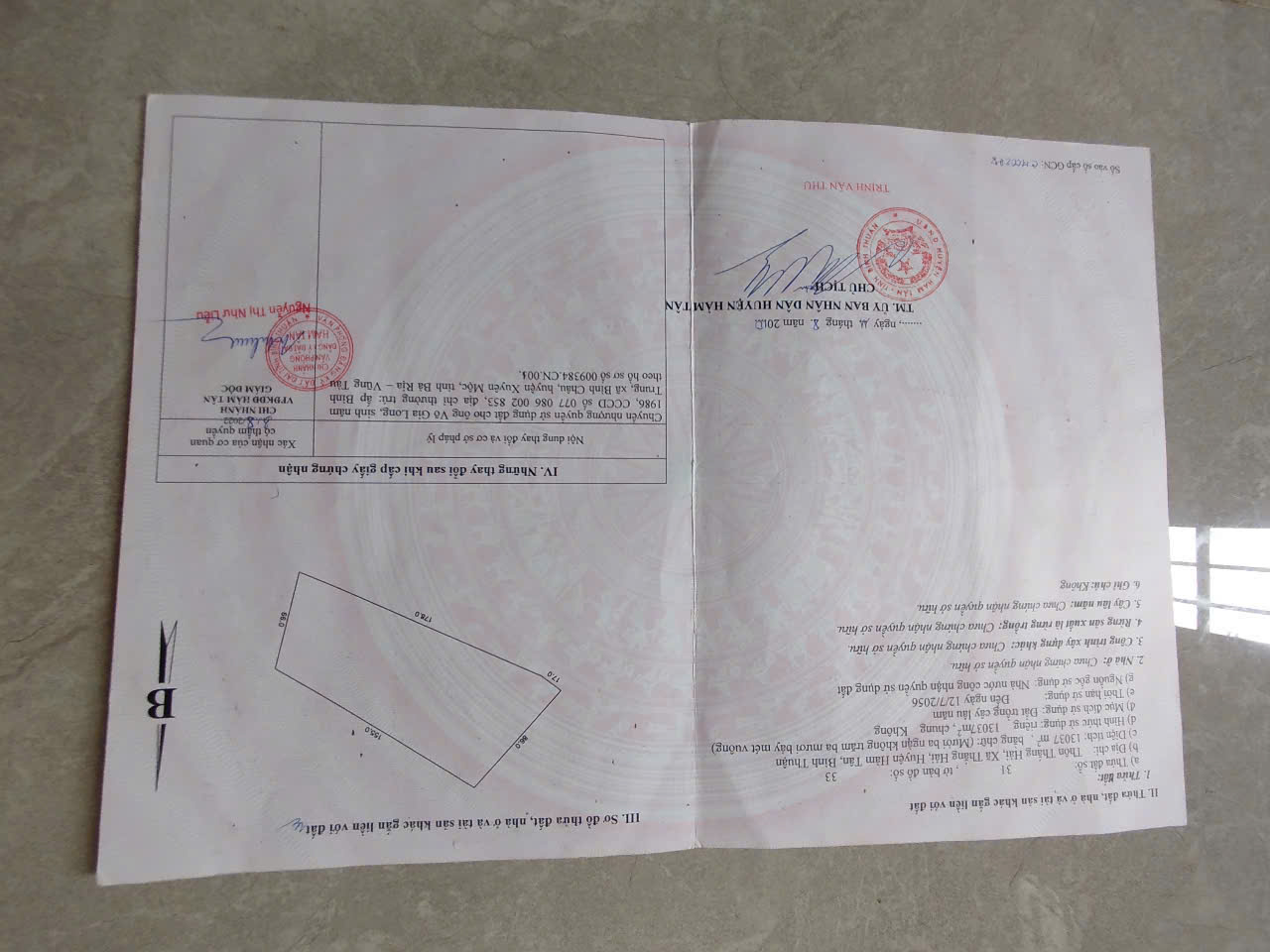 32d81db6e5a86df634b9