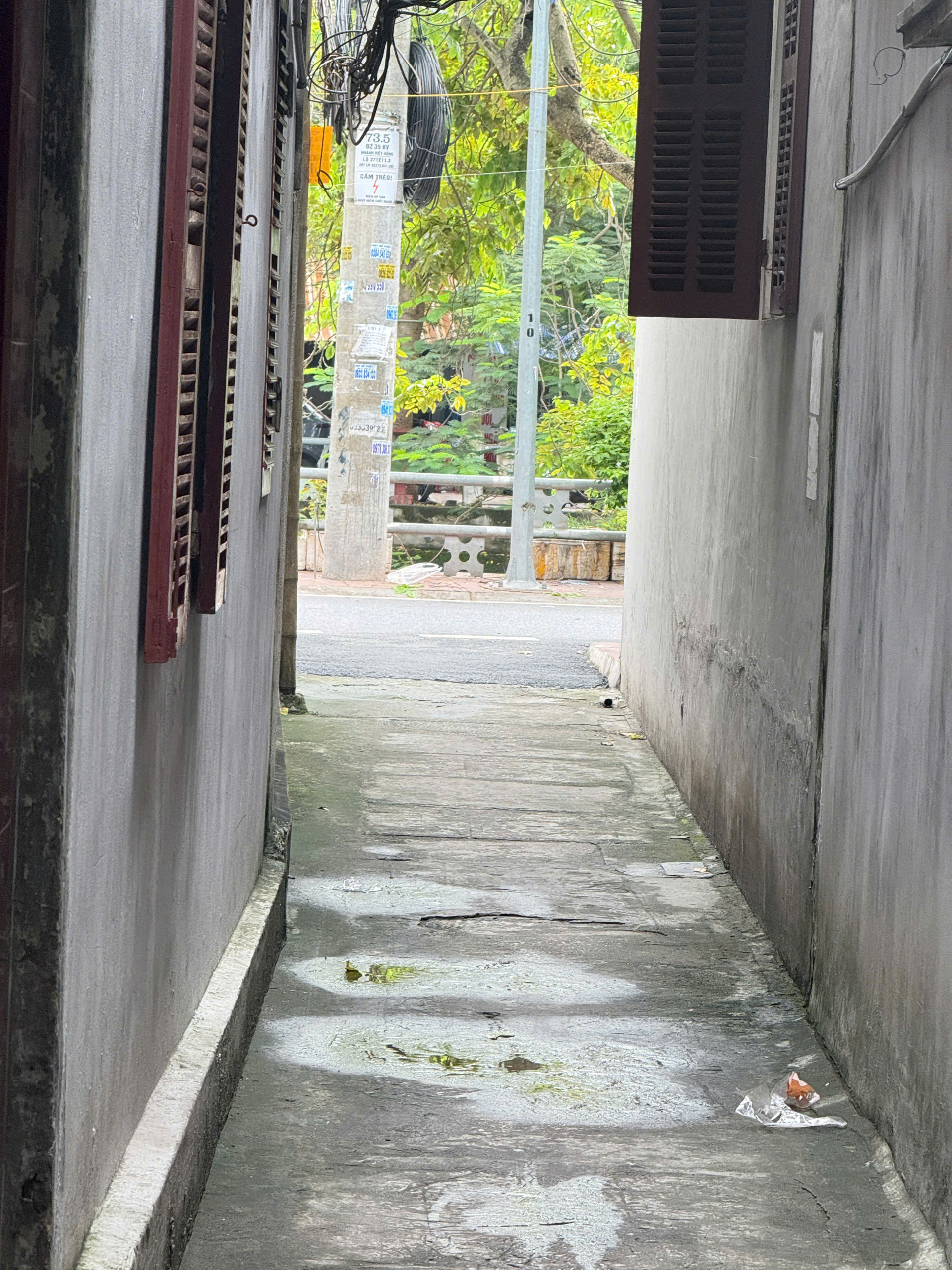 36981225091919629525