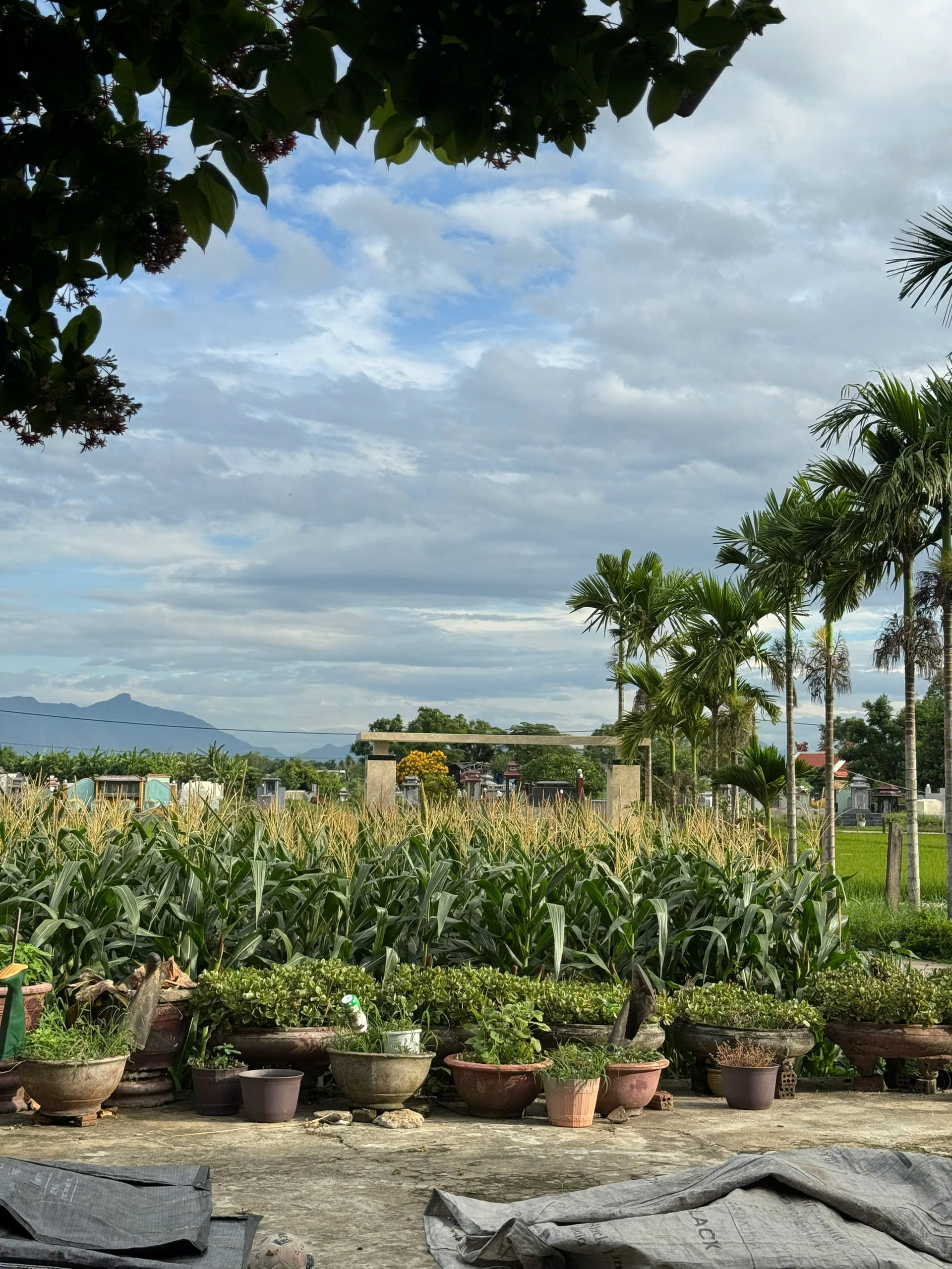 3fb7ccfb6ac1e39fbad0