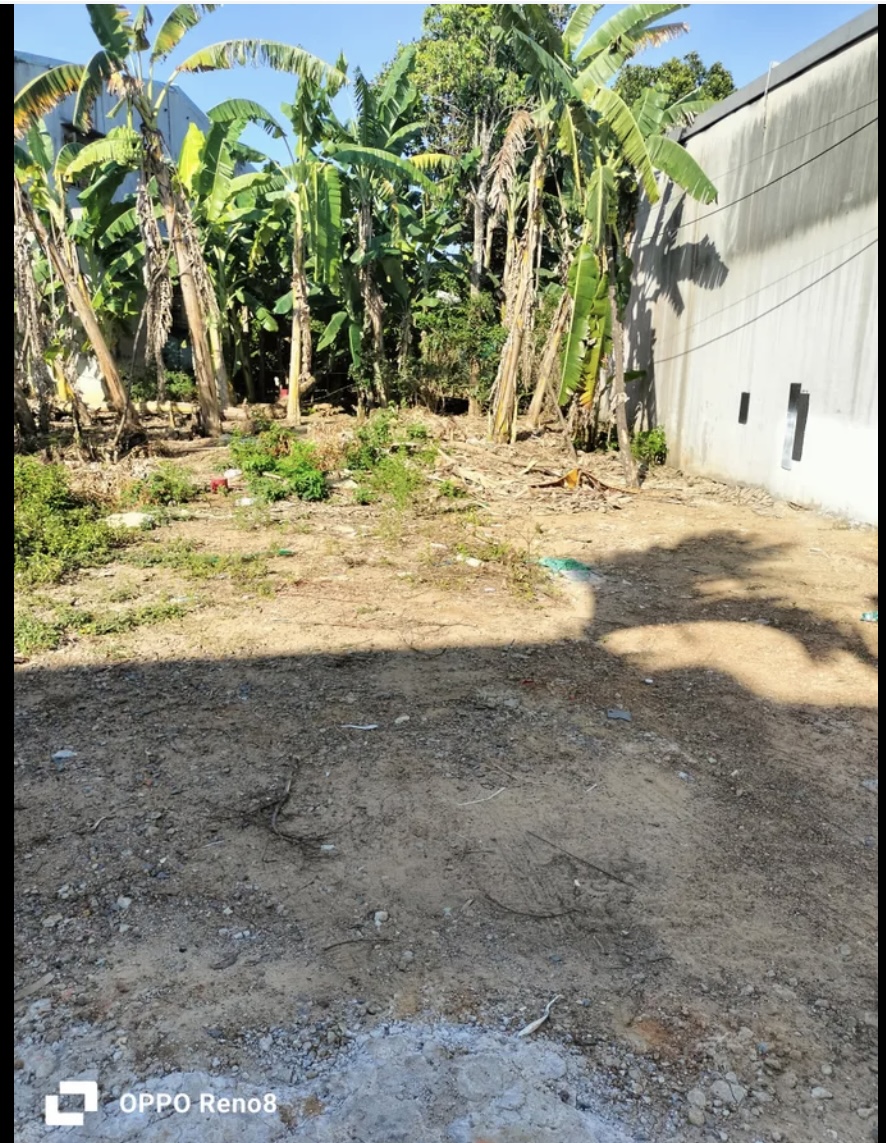 48F9065D-86C1-433F-A25A-52667FA47340