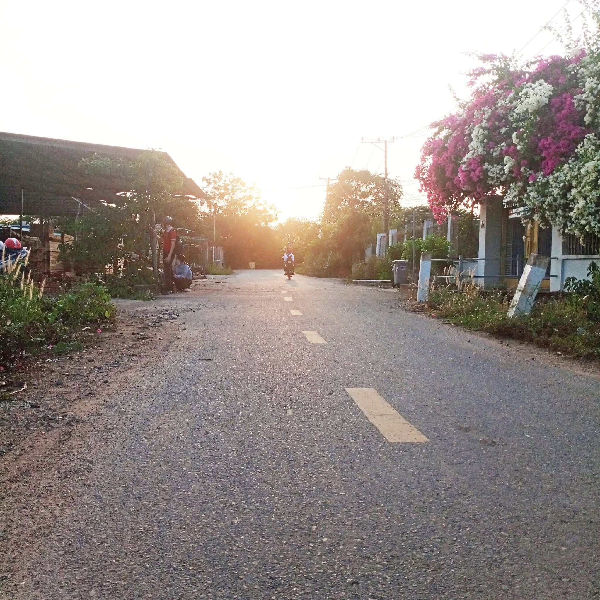 498631330_122230499450235912_3528244414627016019_n