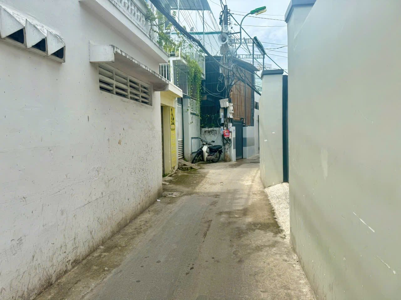 514276835_4477396385918950_5116680801110178957_n