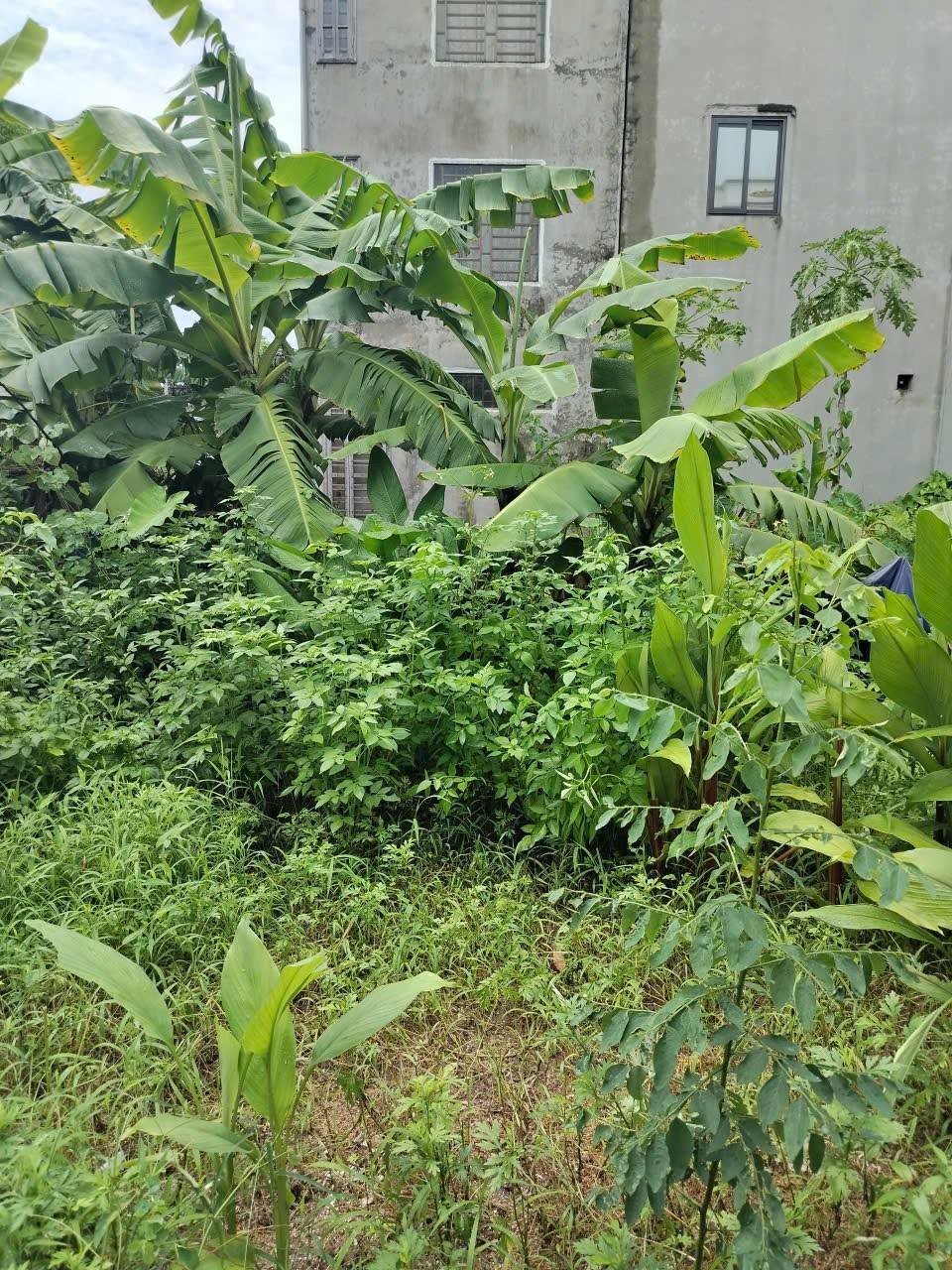 527359924_2154457798401165_8438657838471054130_n