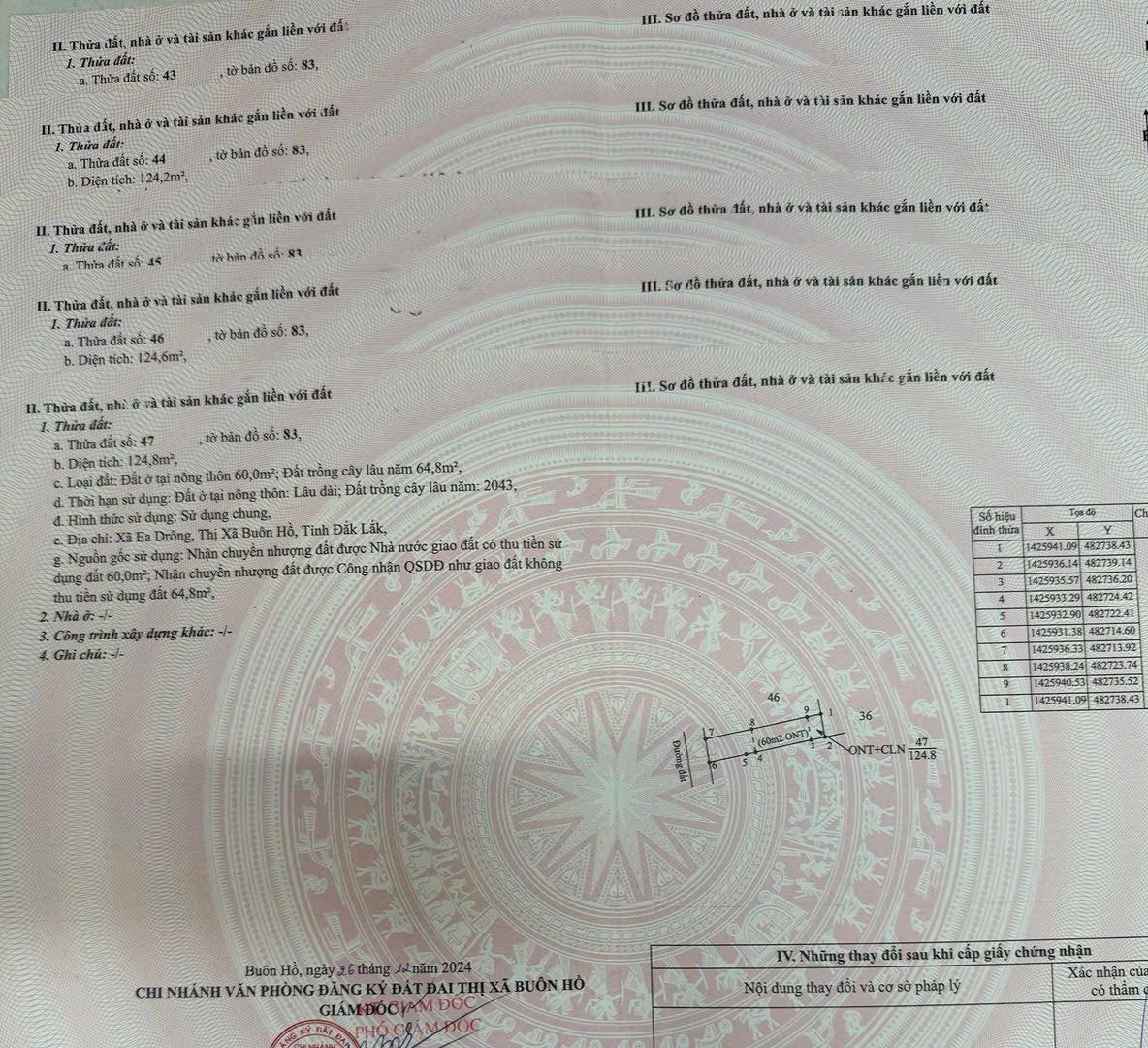 529233313_739336375542892_7797104855937884567_n