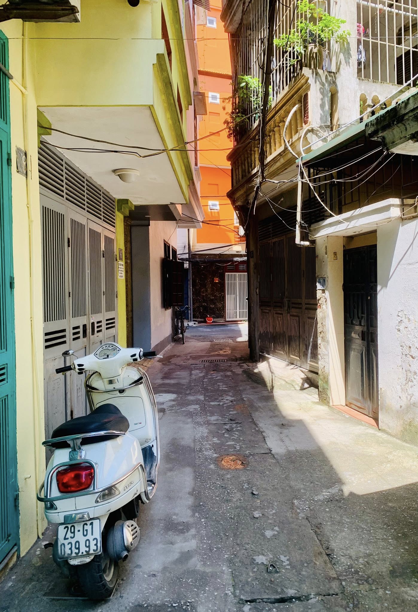 530319186_10238233414078767_6365553131306254060_n