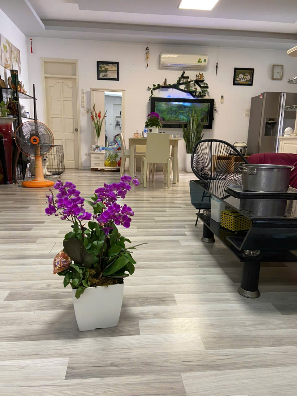 530629718_3326626460822178_3133890938643230734_n