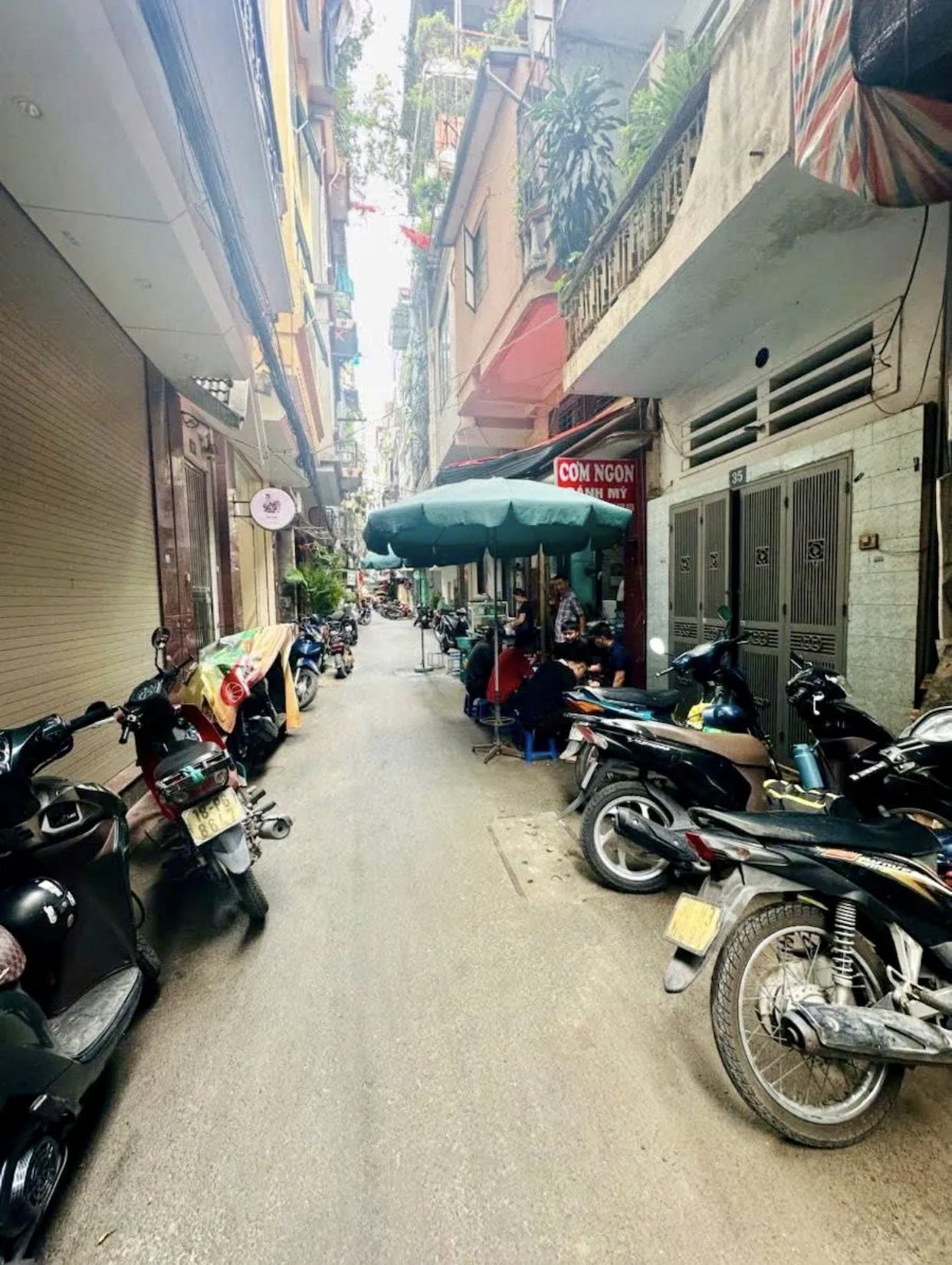 531118713_10238233697285847_6886176733653139817_n