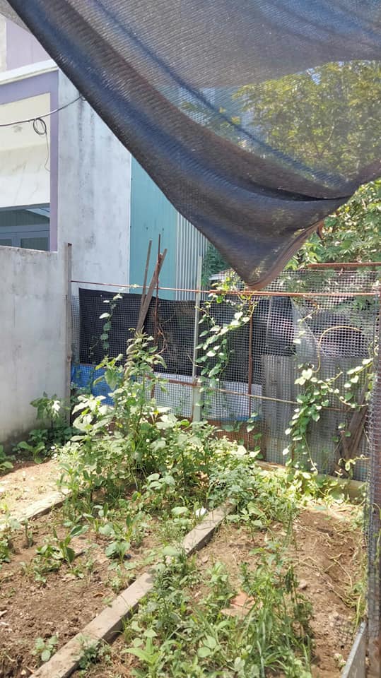 531786461_122204413298056260_4960179022238672896_n