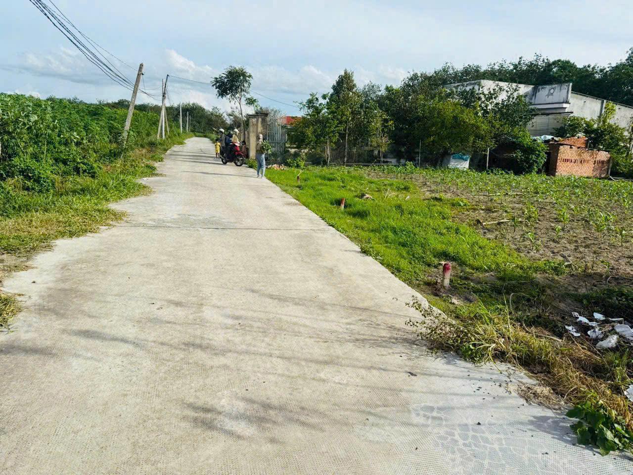 532331155_1447736886527071_6975948837834468933_n